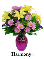  The name says it all, &ldquo;Harmony&rdquo;. This richly colored purple glass vase is filled with bright yellow Asiatic lilies, lavender spray daisies, with yellow solid ago, purple statice, and mixed greens. Call today, and your gift of kindness will be on it&rsquo;s way. 