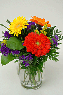 Three bold and bright gerbera dasies arranged in a glass vase with golden yellow solidago, purple statice and mixed greenery. Colors may vary.