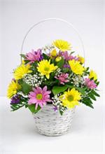 Some times we just want to let someone know that we are thinking of them. Our beautiful multicolored daisies arranged in a charming white wicker basket with mixed greenery and baby breath is sure to convey your message. Need it today? Just call by 2 P.M a