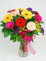 Our talented designers will select 10 Beautiful mixed colorful Gerbera Daisies and arrange then in a glass garden vase with mixed greens and assorted filler. Bold, bright, colorful and cheerful. 