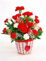 Celebrate Valentine's Day with our charming 