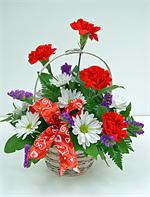 Loves Me Loves Me Not LaRosa's Flowers O'fallon, IL