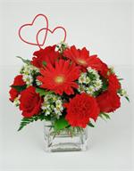 Scarlet O'fallon, IL LaRosa's Flowers