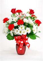 White daisies has long been a Valentine Day Favorite. Our “Sweet Flirtation” is all white daisy arranged with red carnations and red roses, in a classic ruby red vase with mixed greens, baby breath and tied with a valentine day wired ribbon. With twin he