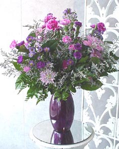 Purple Pallette