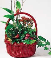 Red Basket Garden