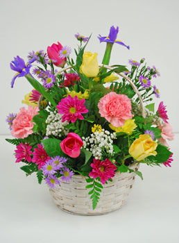 Colors of Spring LaRosa
