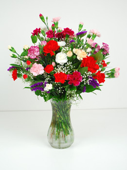 Crazy and colorful, is the best way to describe this vase of mini carnations. Twelve stems of mixed colored carnations with million star gyp and mixed greens fill this clear glass garden vase. Crazy, colorful and correct for any occasion.