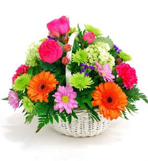 Bright pink carnations mixed with green hydrangea, orange gerbera daisies, lavender spray daisies, and green mums with mixed greenery and arranged in a white wicker basket to create the "Daydream" design. Send one today and make your daydreams come true. 