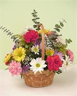 Basket of memories 