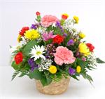 Basket filled with a mixture of colorful carnations, daisies, pomps, baby breath and mixed greens