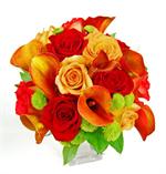 Orange colored Calla Lilies with red and orange colored roses with green buttom pomps and salal tips and tied with matching ribbons