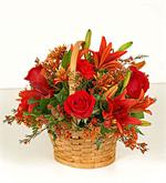 Natural wicker basket filled with red freedom rose