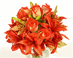 Hand tied wedding bouquet of Friendship Roses with Red Asiatic Lilies.