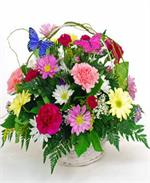 Butterfly Garden Easter Basket LaRosa's Flowers O'Fallon, IL