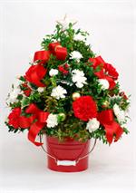 A favorite every year, our boxwood christmas tree. Designed in a red holiday bucket with white handle, and trimmed with red and white carnations, gold ornaments, red ribbons and top with a white and gold star. Along lasting arrangement that will be enjoye