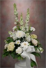 Designed in a white pedestal vase are white larkspur, white spider mums, white carnations, lime green hydrangea with white daisies, mixed greens and white ribbons.