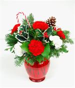 Wish family and friends a happy holiday season with our bright and colorful “Crimson Tide” arrangement. This ruby red vase is filled with long lasting red and white carnations with mixed fragrant holiday evergreens, holly, snow covered pine cones, and top