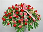 This extraordinary casket cover spray makes a beautiful tribute. Designed with red roses, pink carnations, pink snapdragons, million star baby breath and mixed greens. Pink ribbon with your choice of script is included.