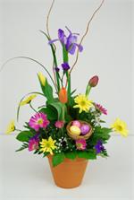 Egg Garden LaRosa's Flowers O'fallon, IL