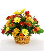 Make their Fall celebrations all the more special with our simply stunning Falling for Daisies basket.
