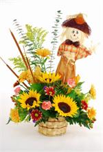 Celebrate harvest time and scare up some fun with this colorful fall arrangement. A delightful scarecrow stands guard over a pumpkin patch filled with three golden sunflowers, orange carnations,with yellow button pomps, fall leaves, eucalyptus, and mixed 