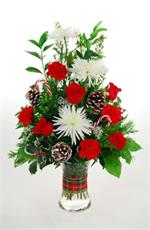 Holiday Fireworks LaRosa's Flowers O'Fallon, IL