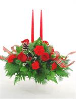 Holiday Lites LaRosa's Flowers O'Fallon, IL