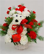He's making his list and checking it twice. This year let our cute Santa Puppy deliver your holiday greeting. Arranged in a white wicker basket of red and white carnations with holiday greens and trimmed with red and green ribbons, a santa cap and holding