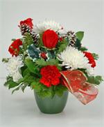 White snowball mums with holiday red roses, white and red carnations with mixed holiday greens, holly, white tipped pine cones and holiday ribbons are all arranged in a Christmas green ceramic container. Send your greetings of the seasons with our “Snowba