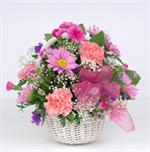 White wicker basket filled with pink carnations, lavender daisies, pink roses, with blue statice, white gyp and mixed greens and accented with pink ribbons