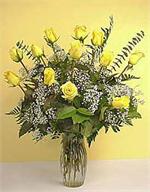 One dozen yellow, long stem roses with million star gyp, tree fern, baker fern, salal tips and arranged in a glass garden vase.