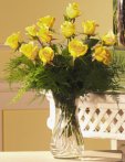 Yellow Roses