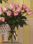 Pink Roses