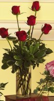 Half Dozen Red Roses