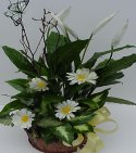 Mixed Dish Garden Basket